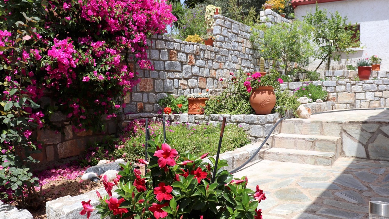 Photo of Outdoor in Aloizianika