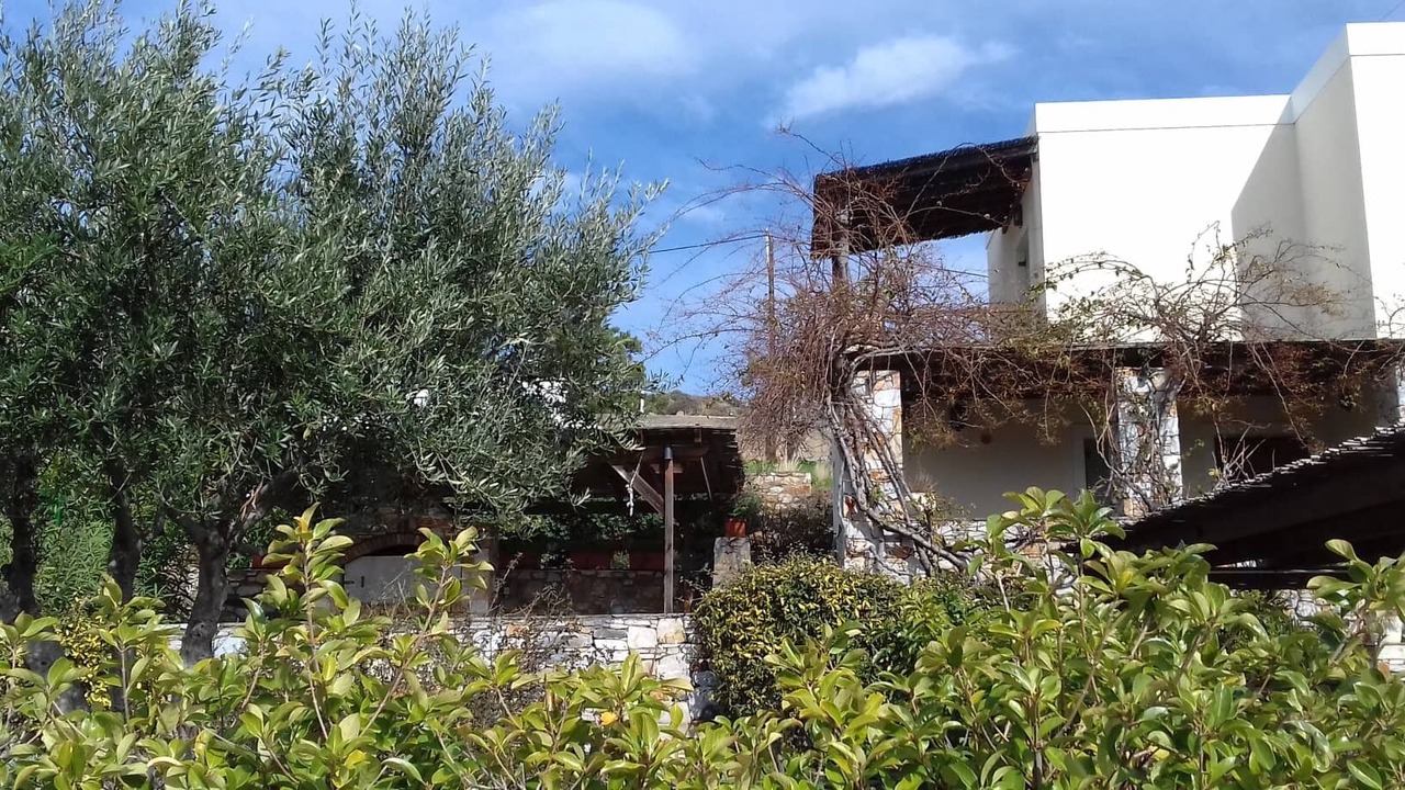 Photo of Outdoor in Posidonia