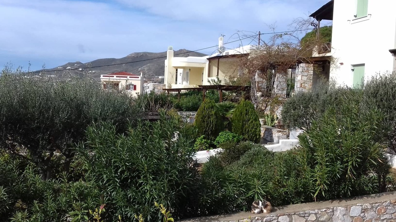 Photo of Outdoor in Posidonia