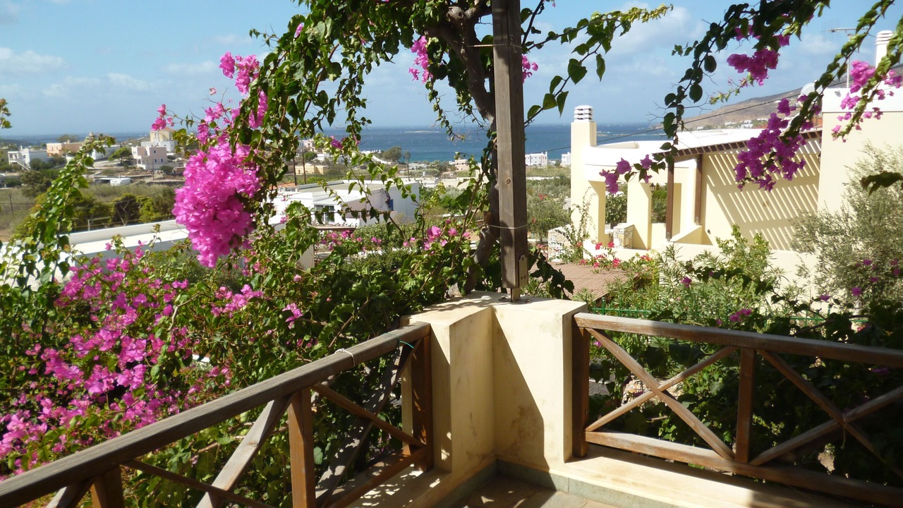 Photo of Outdoor in Posidonia