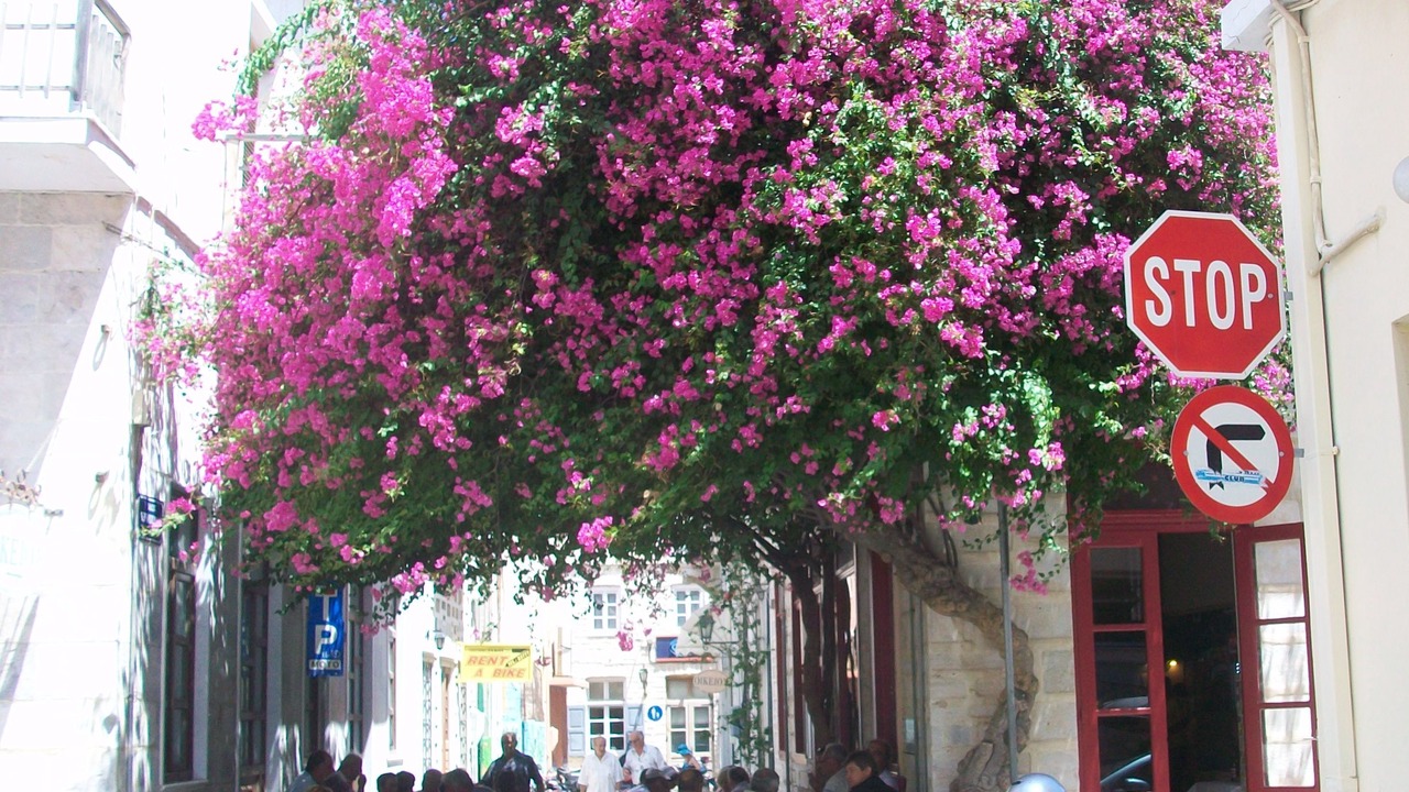 Photo of Outdoor in Syros