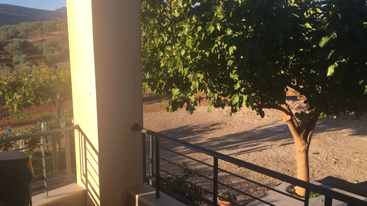 Photo of Outdoor in Aigio
