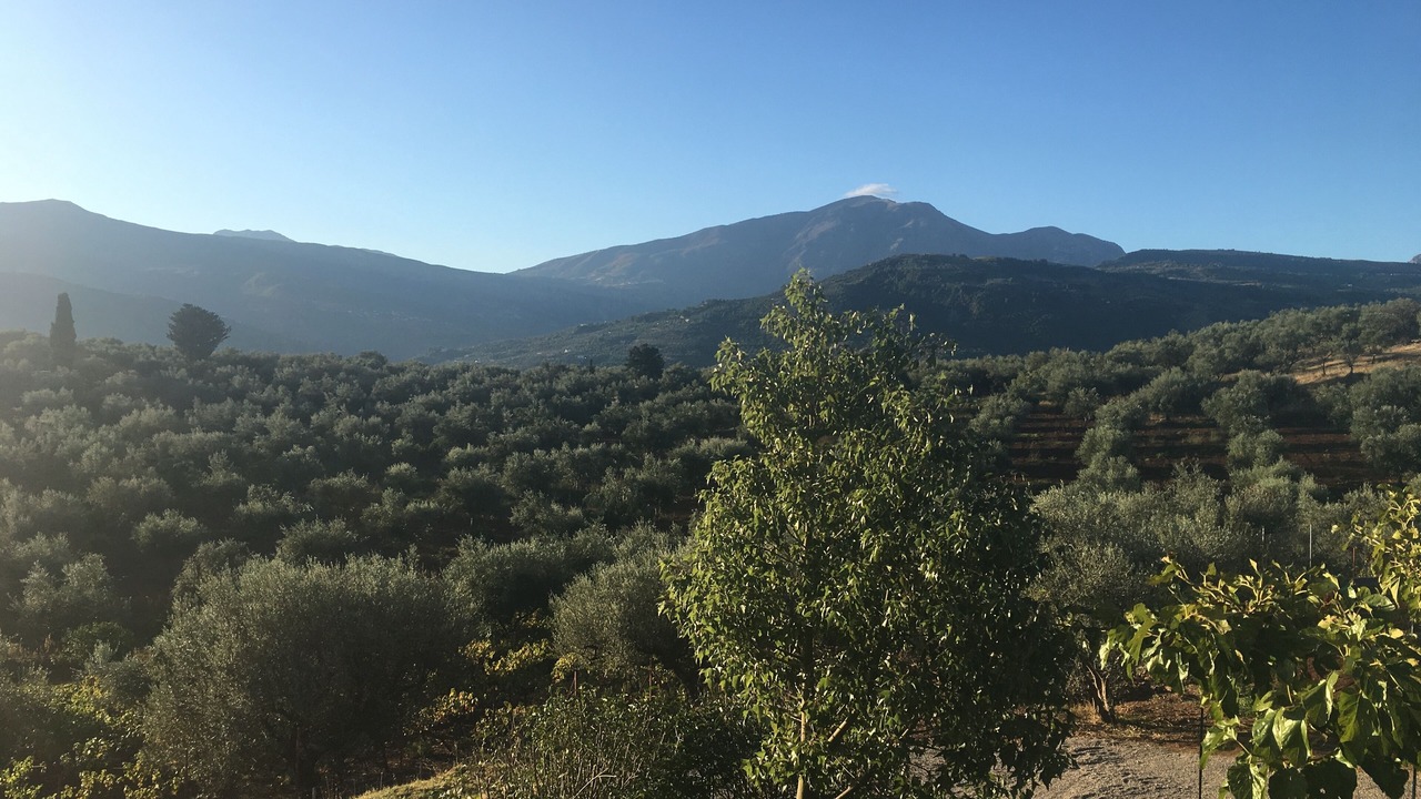 Photo of Outdoor in Aigio