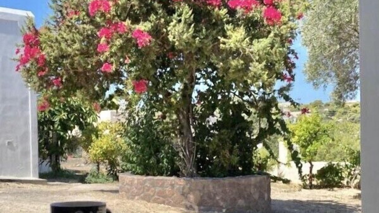 Photo of Outdoor in Vagia
