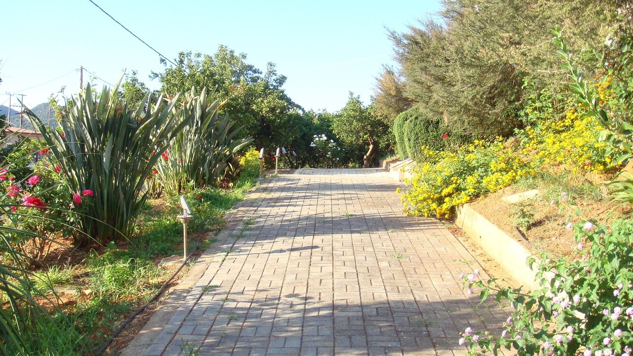Photo of Others in Agia
