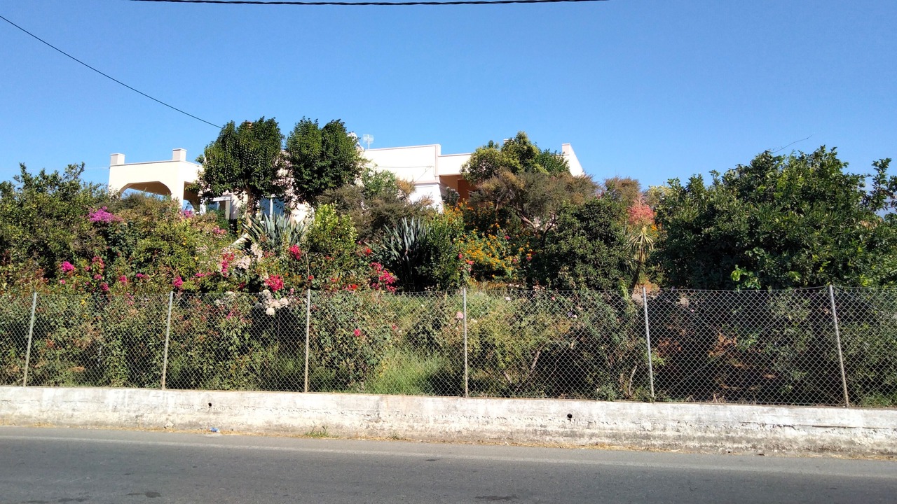 Photo of Others in Agia