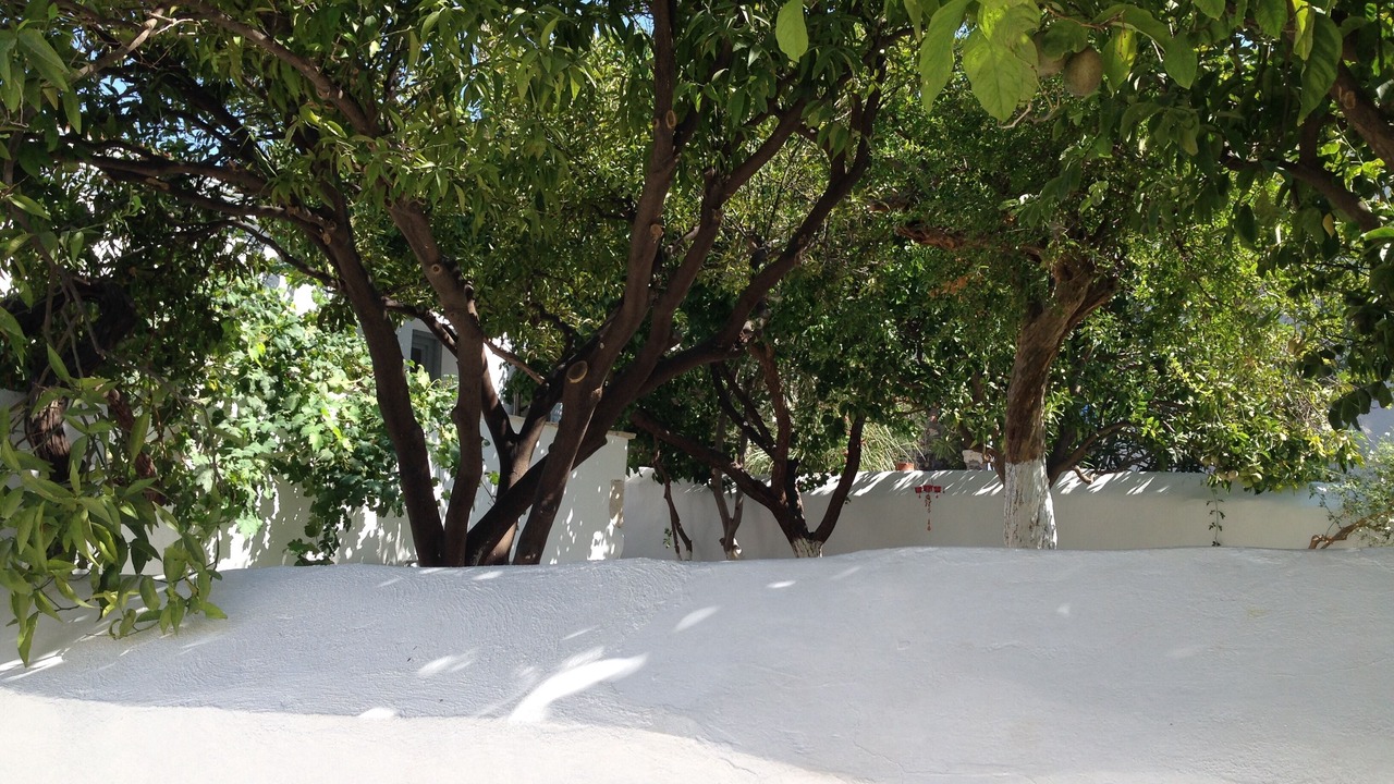 Photo of Outdoor in Pythagorio