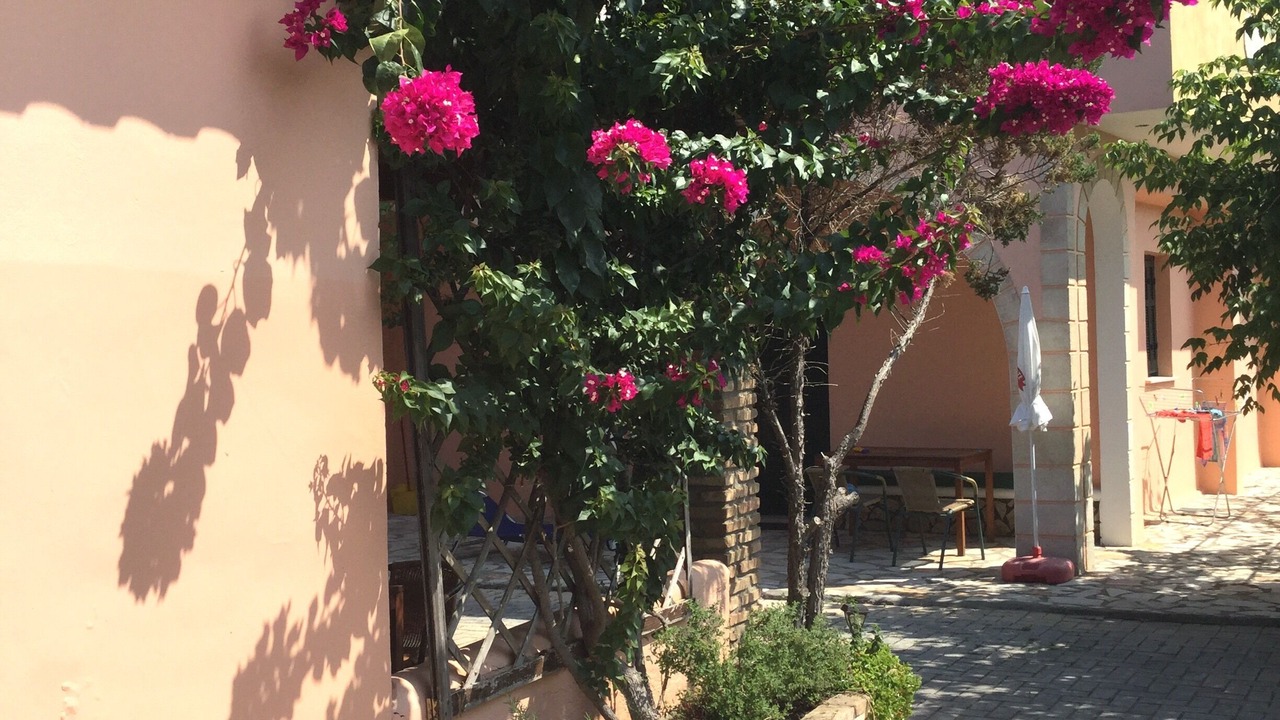 Photo of Outdoor in Kavos