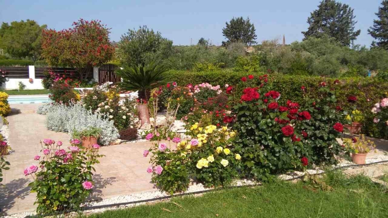 Photo of Outdoor in Latchi