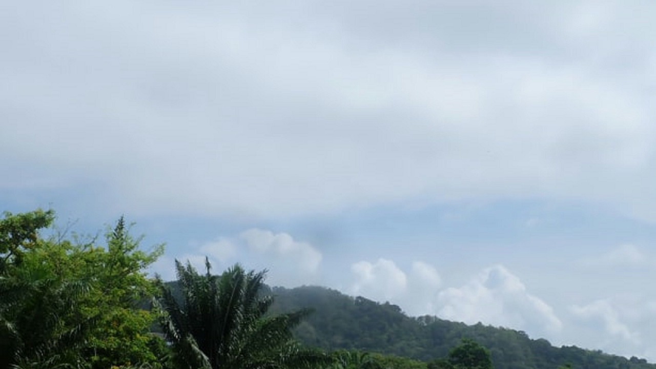 Photo of Others in Rawai