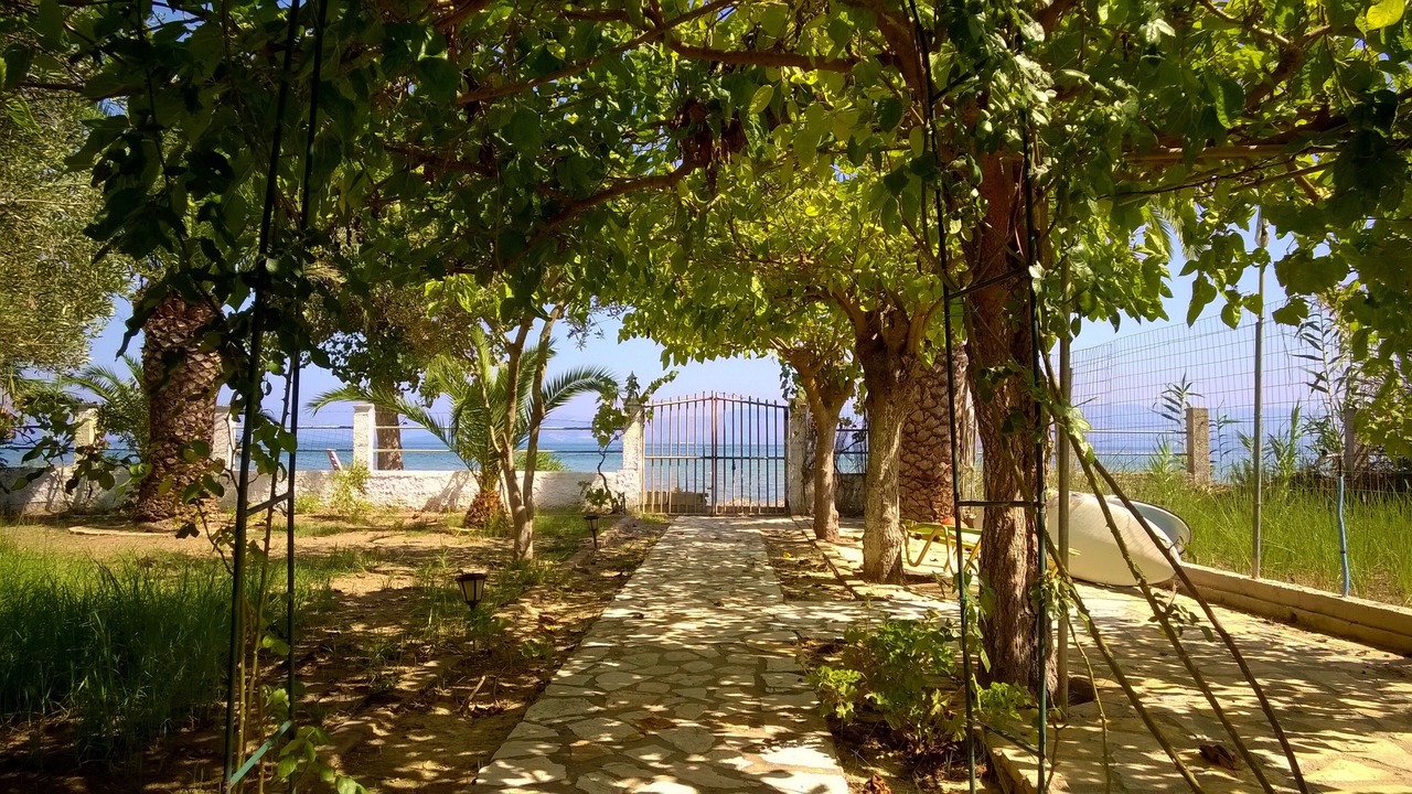 Photo of Outdoor in Kavos