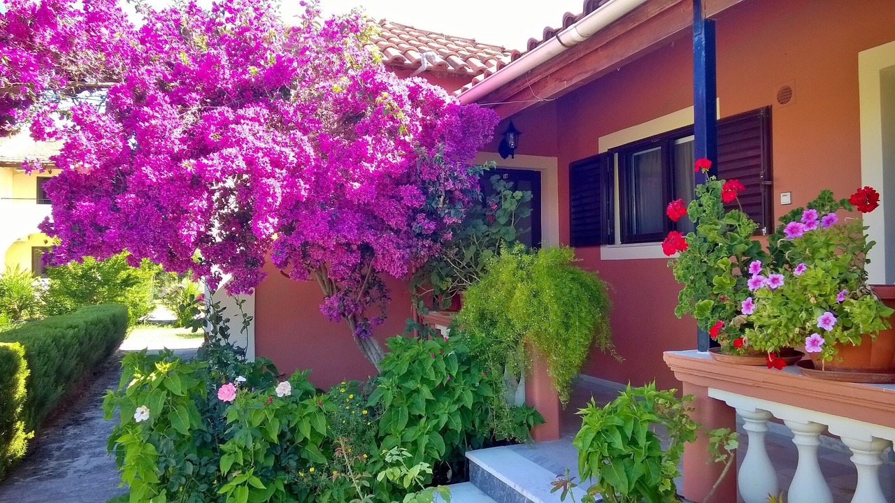 Photo of Outdoor in Molos