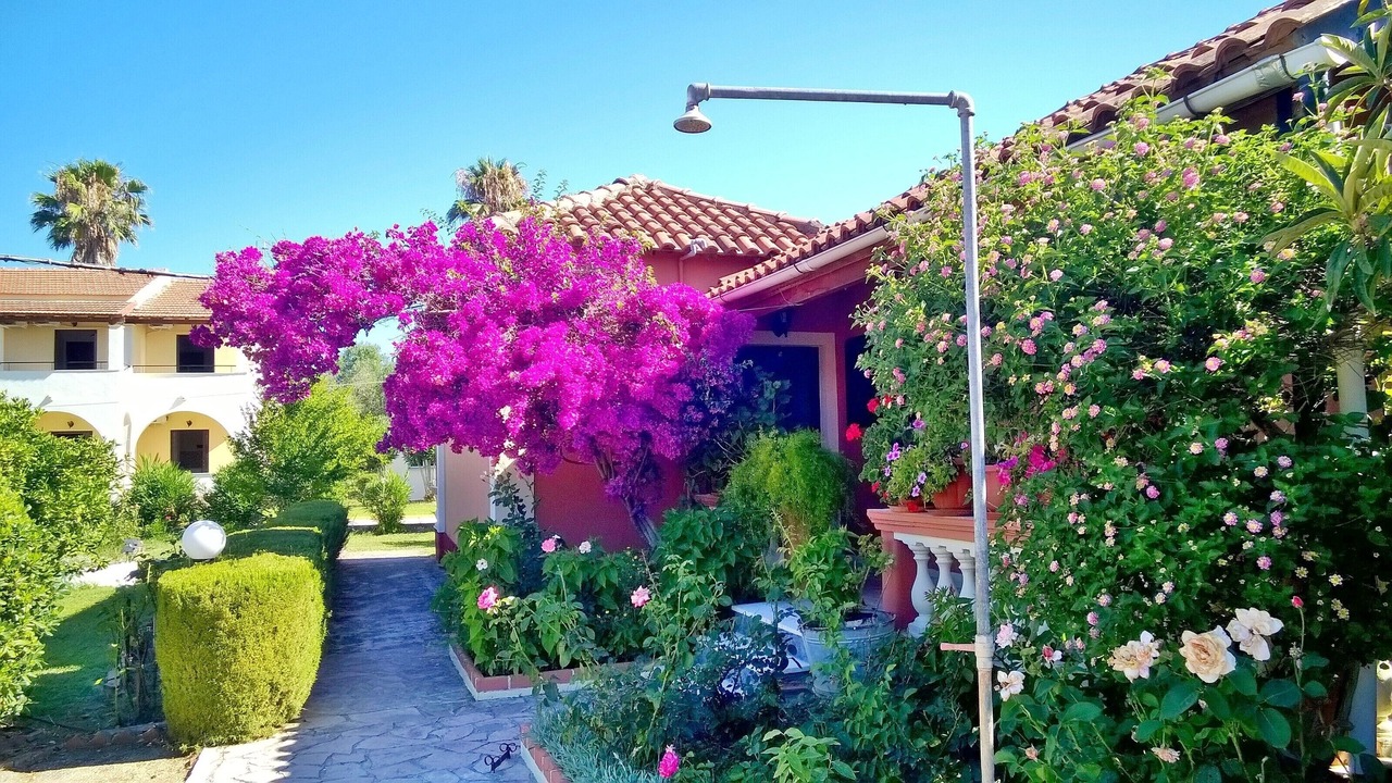 Photo of Outdoor in Molos