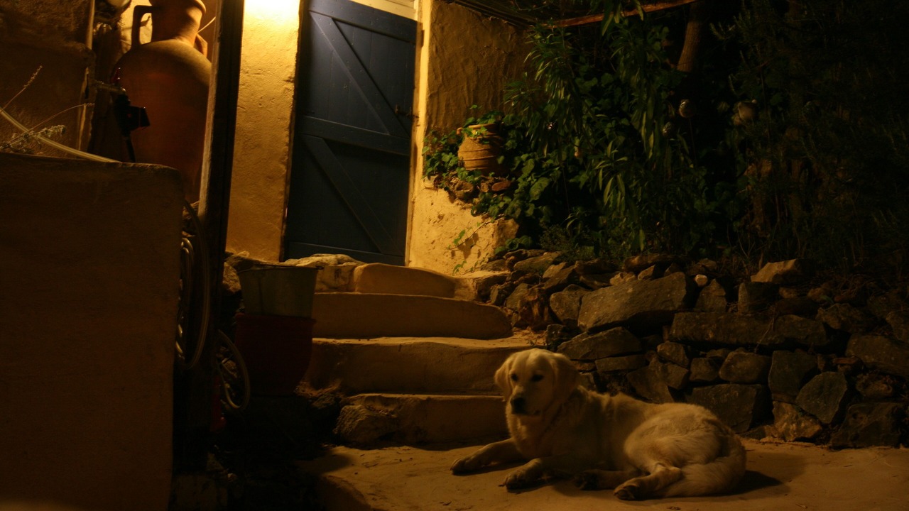 Photo of Outdoor in Karvelas