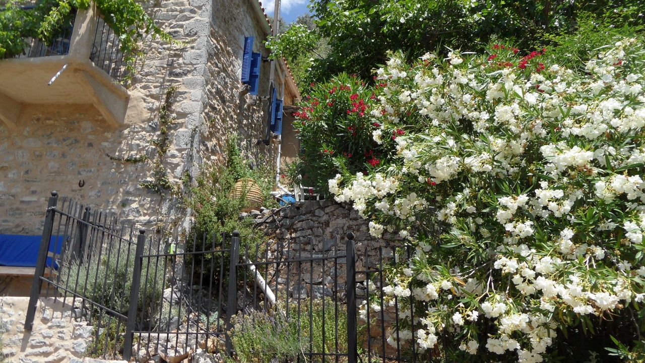 Photo of Outdoor in Karvelas