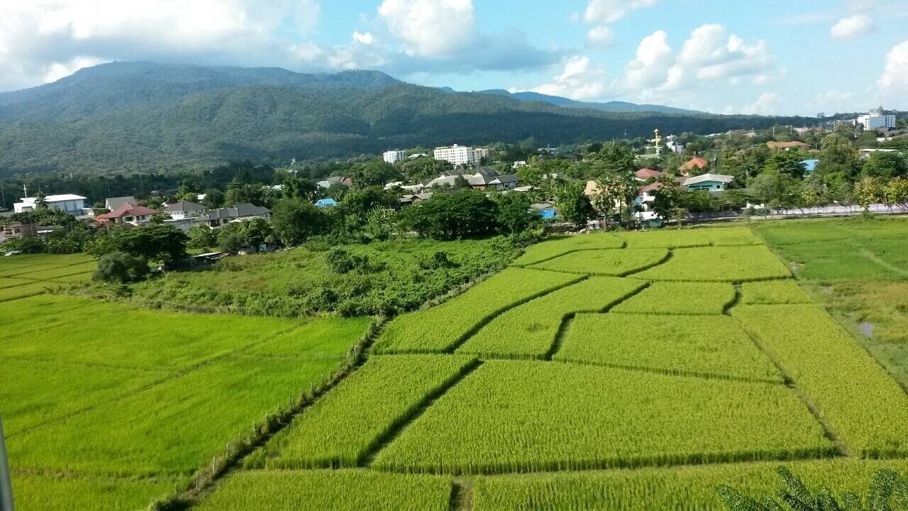 Photo of Outdoor in Mae Hia