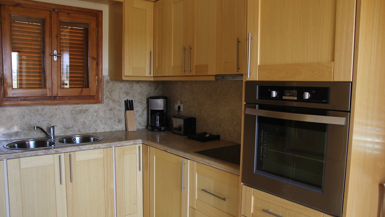 Photo of Kitchen in Petrothalassa