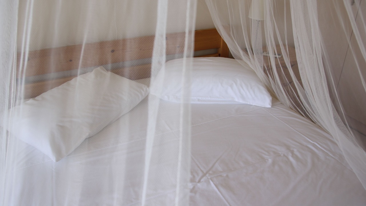 Photo of Bedroom in Petrothalassa