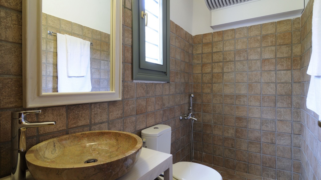 Photo of Bathroom in Andros