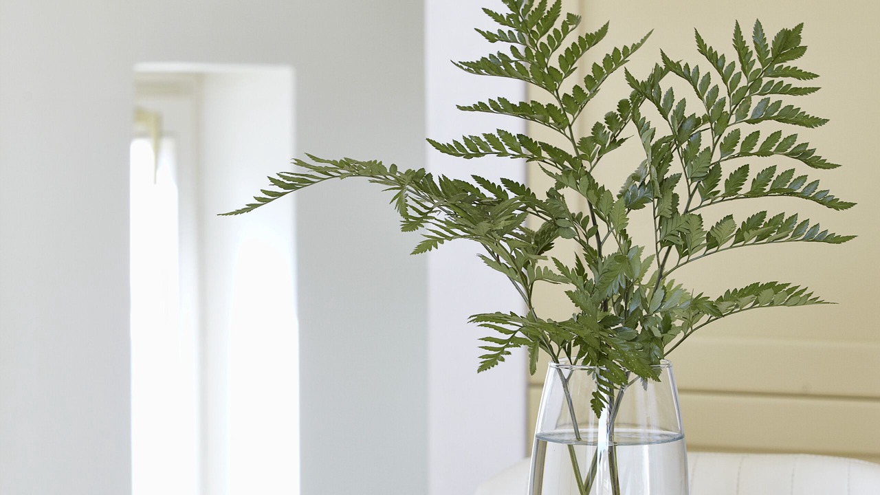 Photo of Others in Agios Prokopios