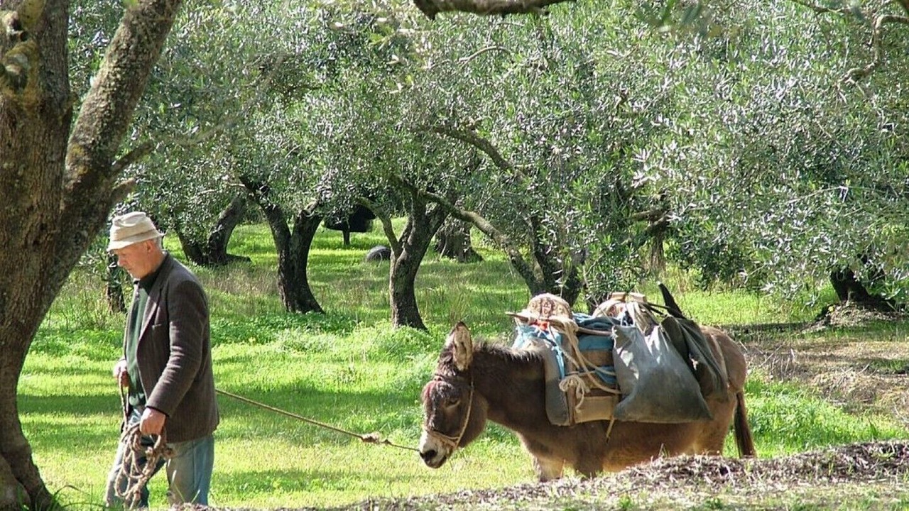 Photo of Others in Ag. Georgios