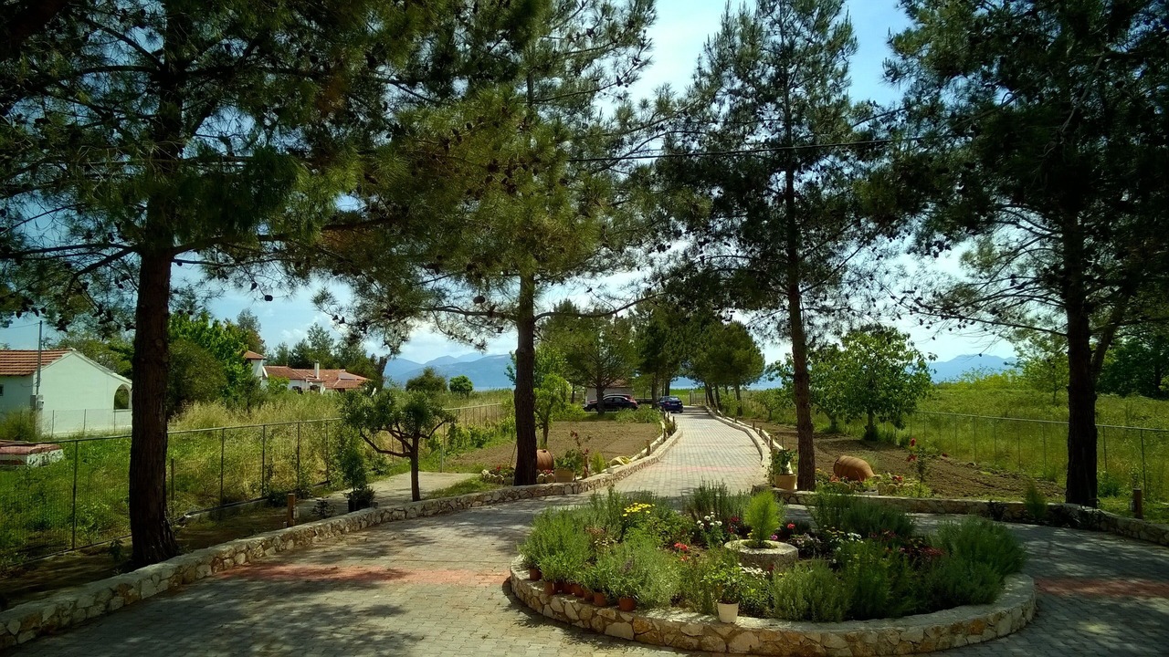 Photo of Outdoor in Melikia