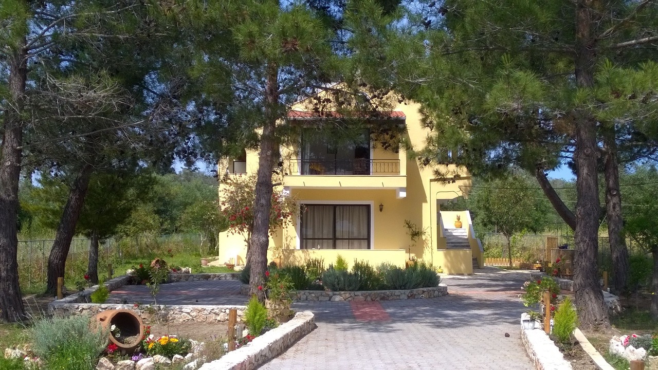 Photo of Outdoor in Melikia