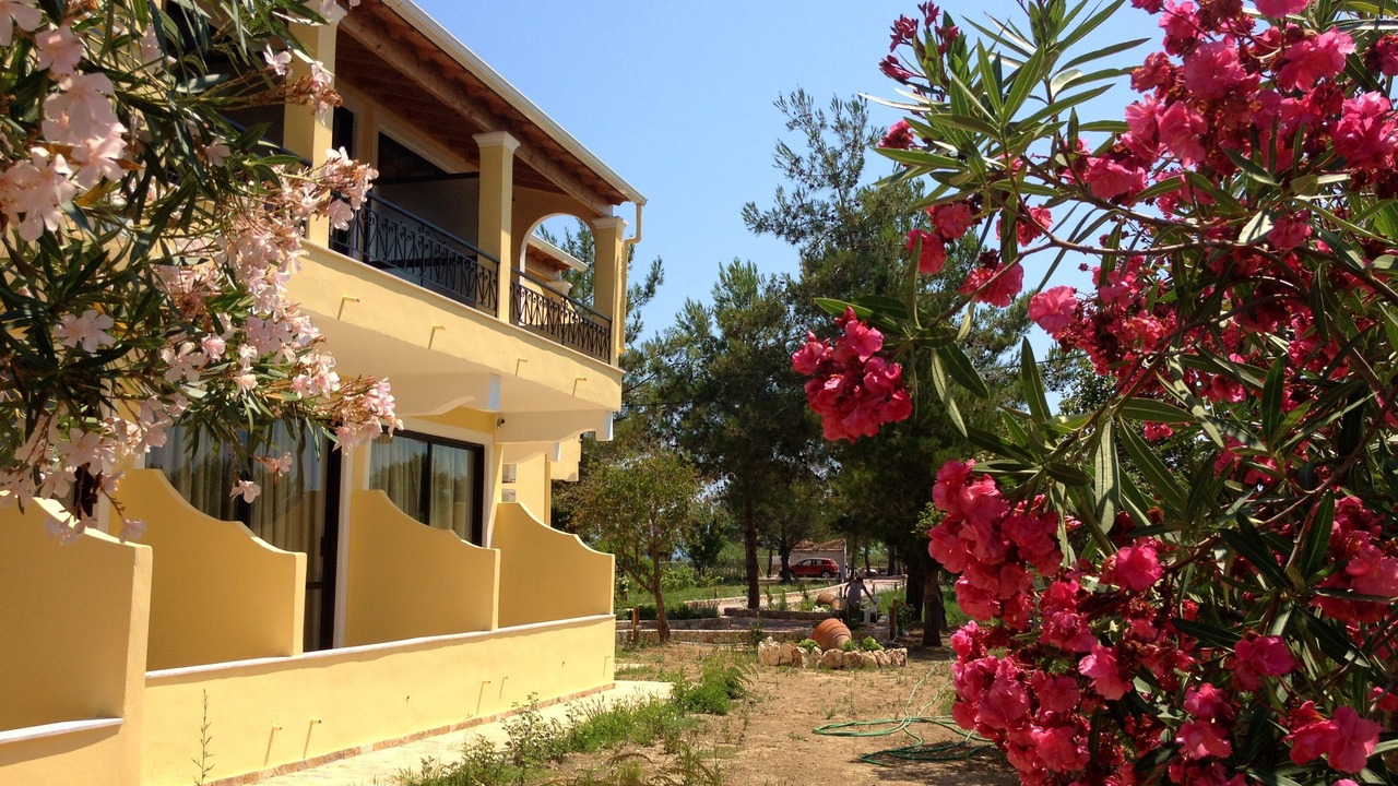 Photo of Outdoor in Melikia
