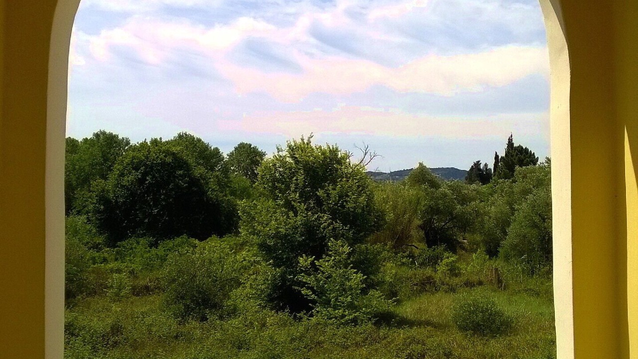 Photo of Others in Melikia