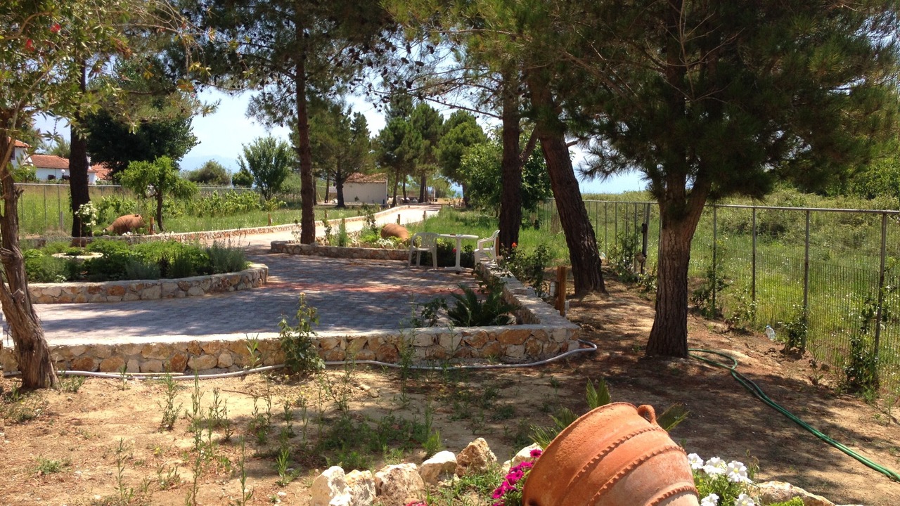 Photo of Outdoor in Melikia
