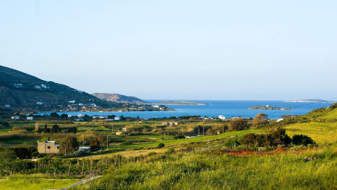 Photo of Others in Paros