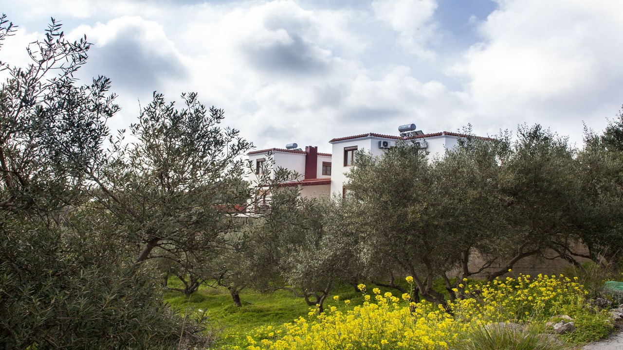 Photo of Outdoor in Kounavi