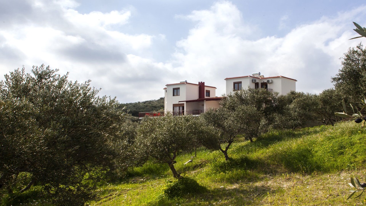 Photo of Outdoor in Kounavi