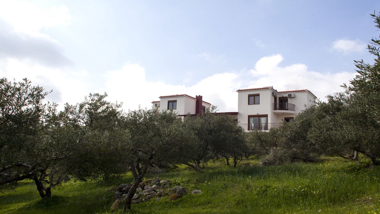 Photo of Outdoor in Kounavi