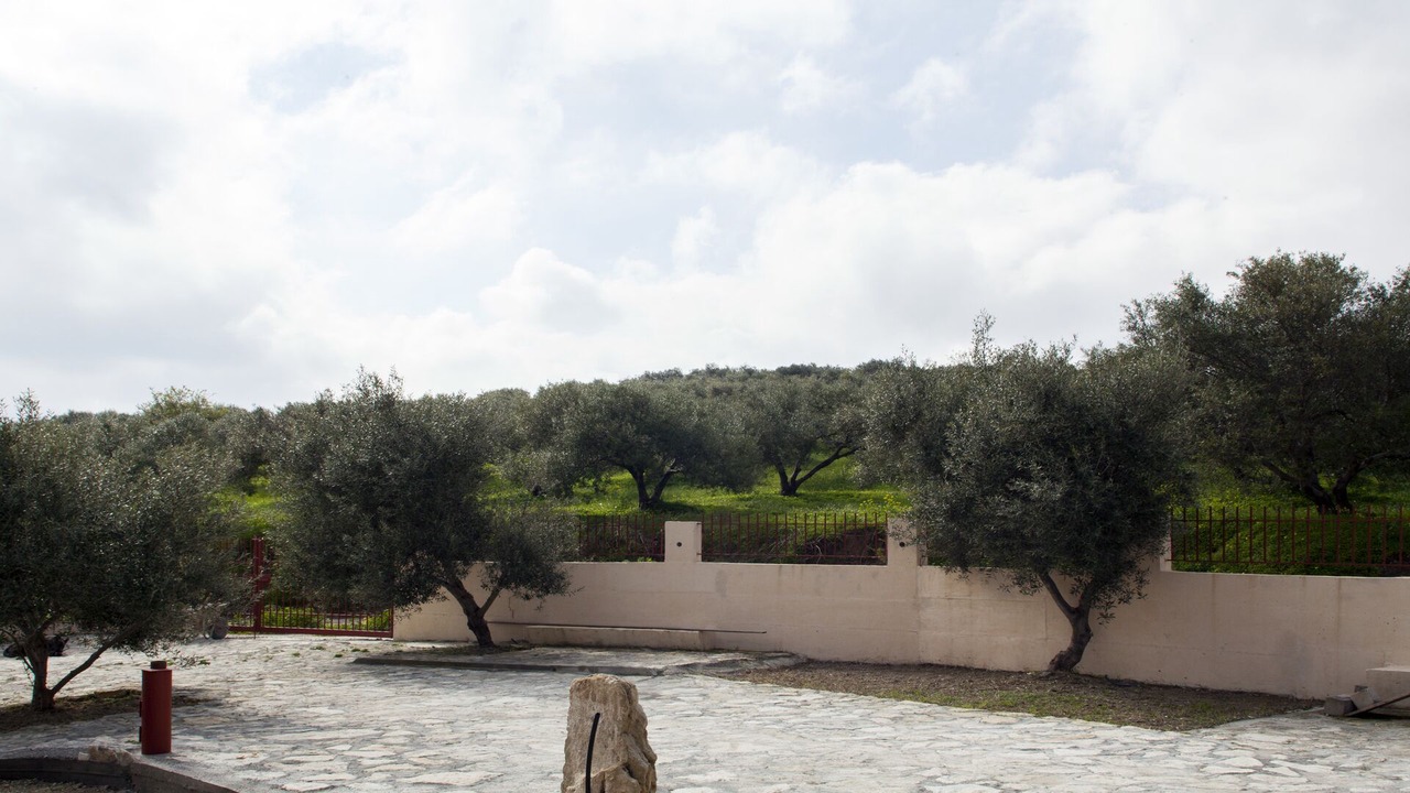 Photo of Outdoor in Kounavi