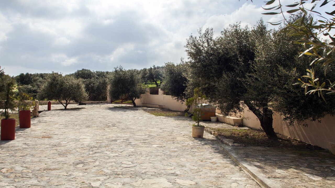 Photo of Outdoor in Kounavi