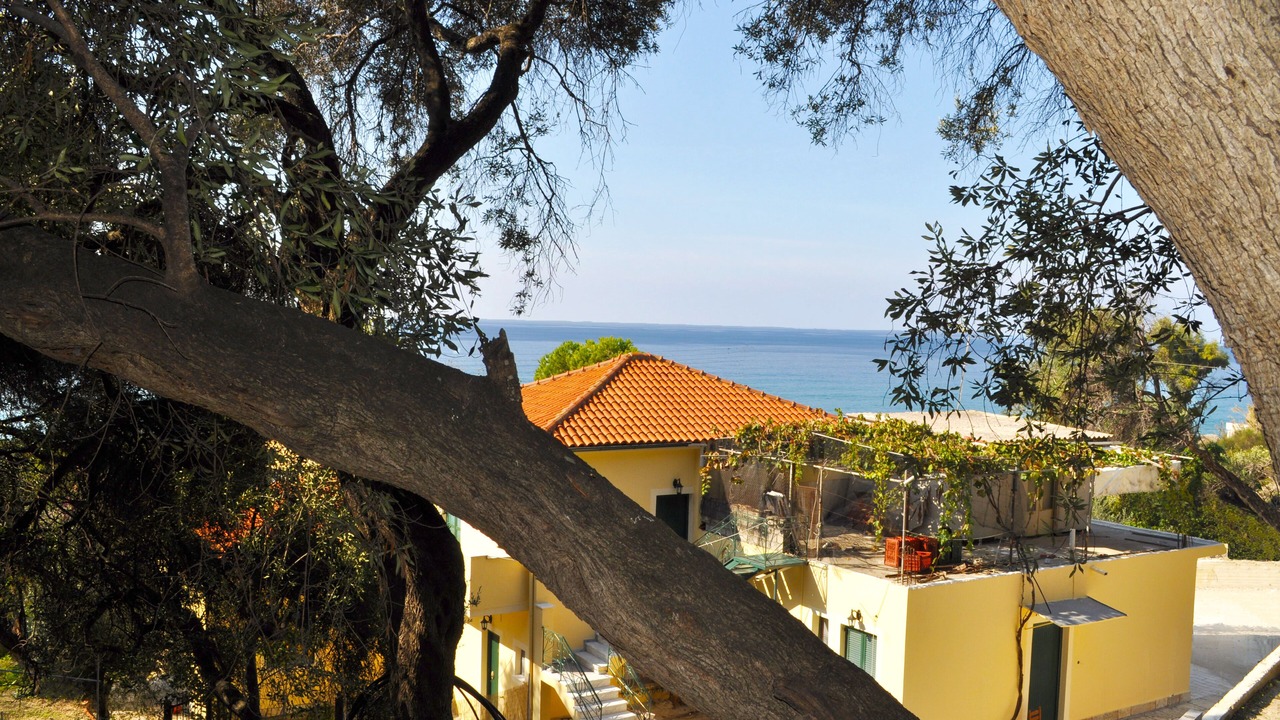 Photo of Others in Corfu