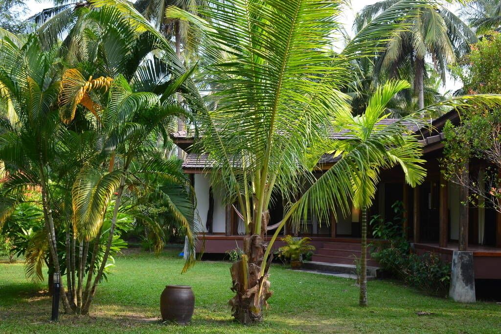 Photo of Others in Ko Pha-ngan