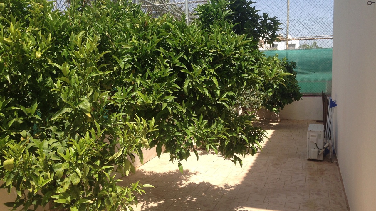 Photo of Outdoor in Pernera