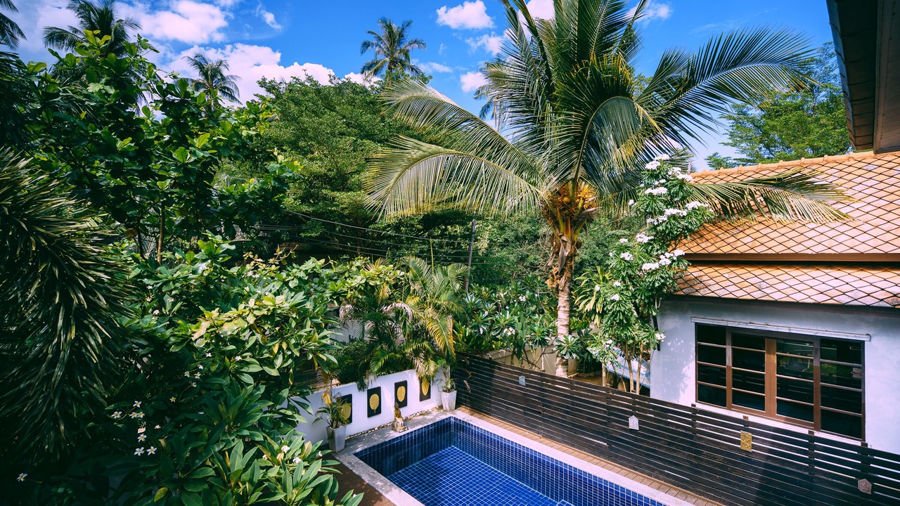 Photo of Outdoor in Lamai