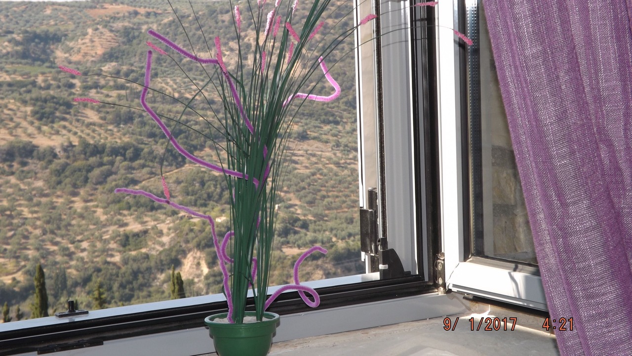Photo of Others in Koumaris