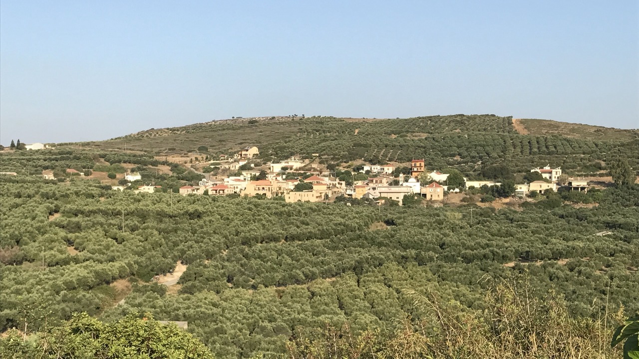 Photo of Others in Vasilopoulo