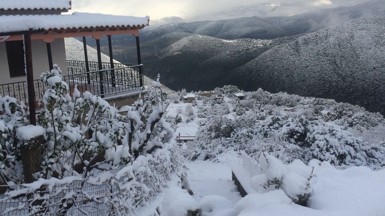 Photo of Outdoor in Andritsaina