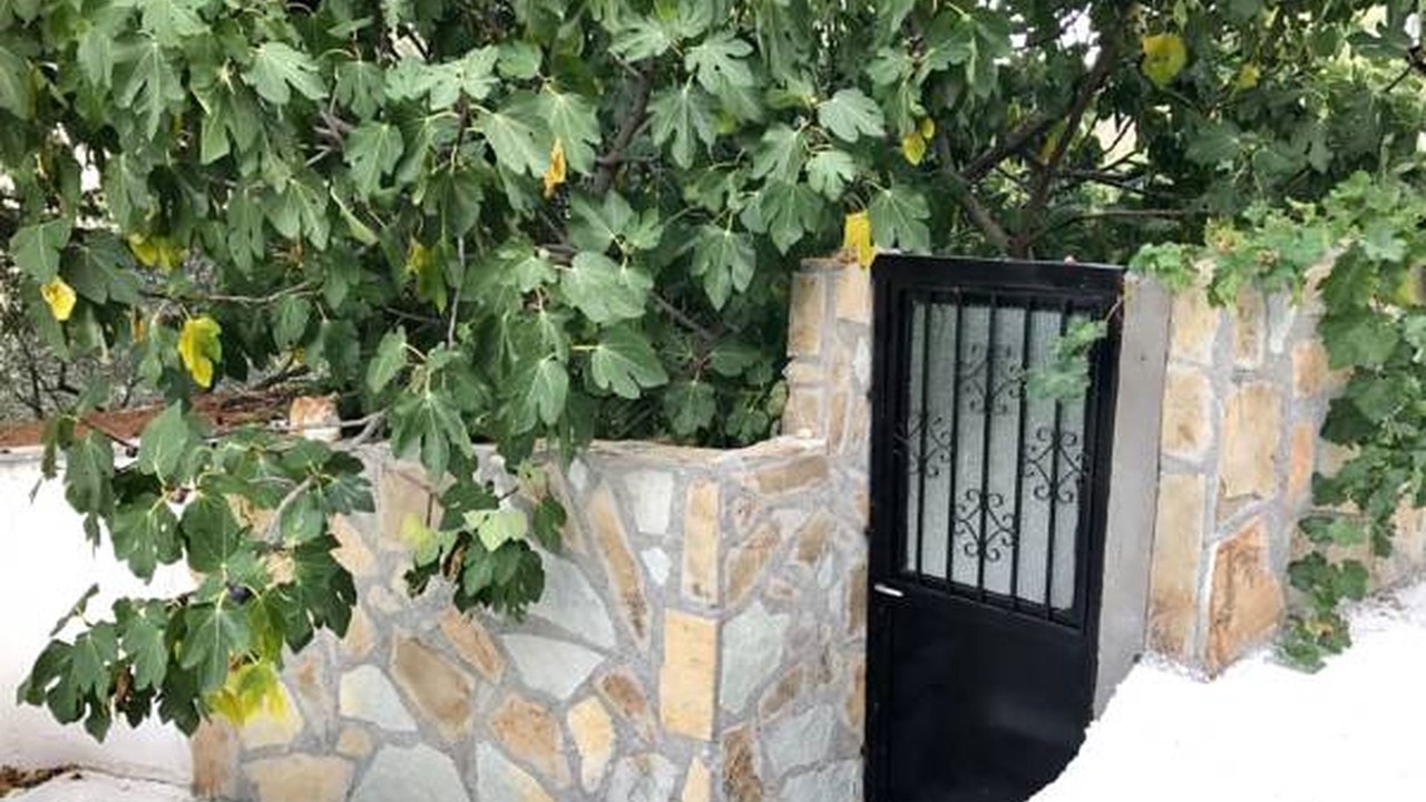 Photo of Outdoor in Andritsaina