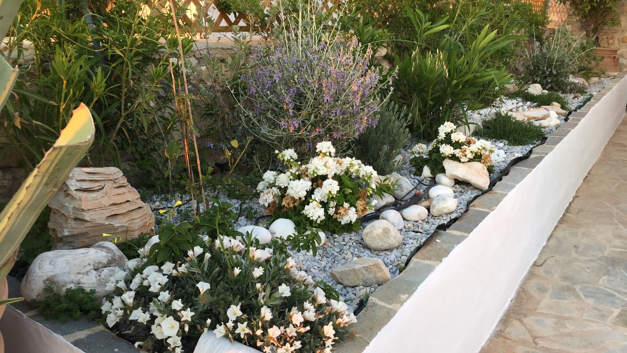 Photo of Outdoor in Aliki