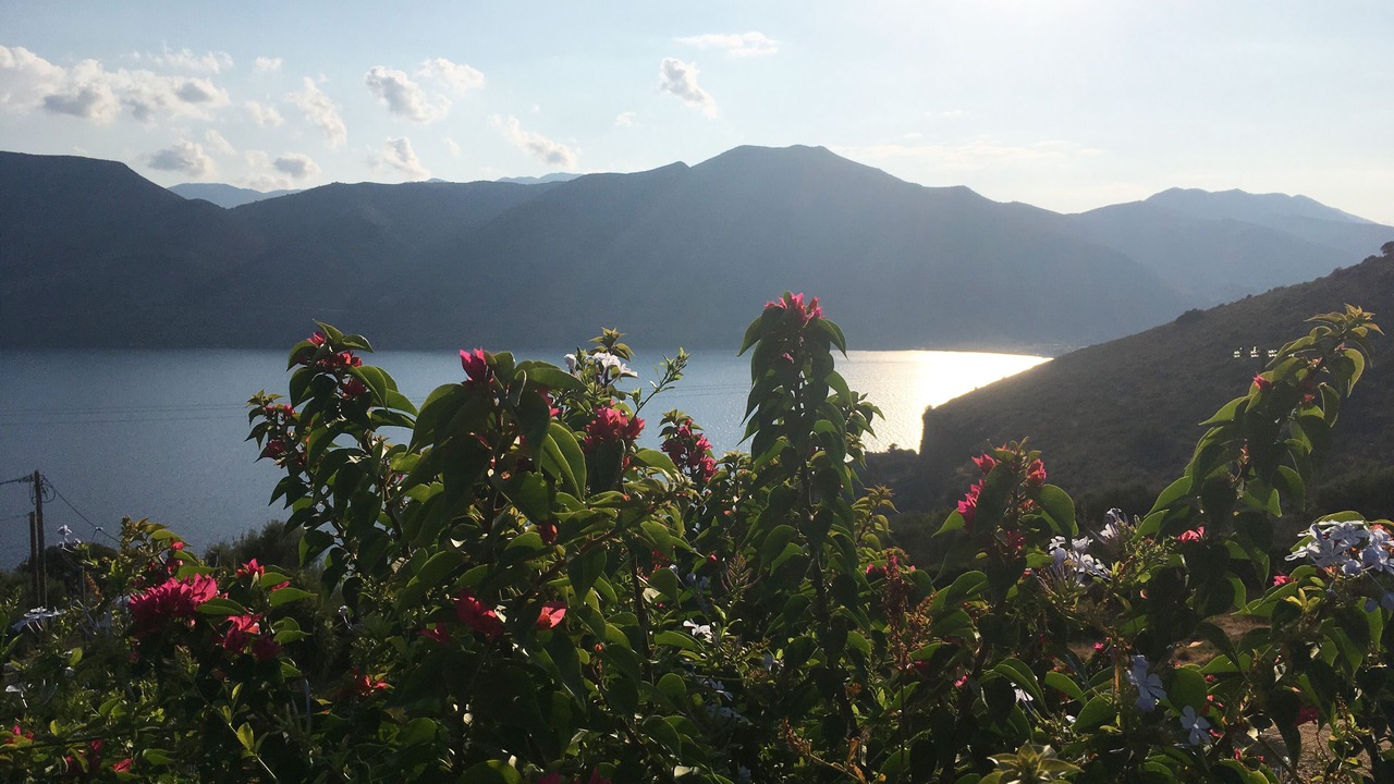 Photo of Outdoor in East Mani
