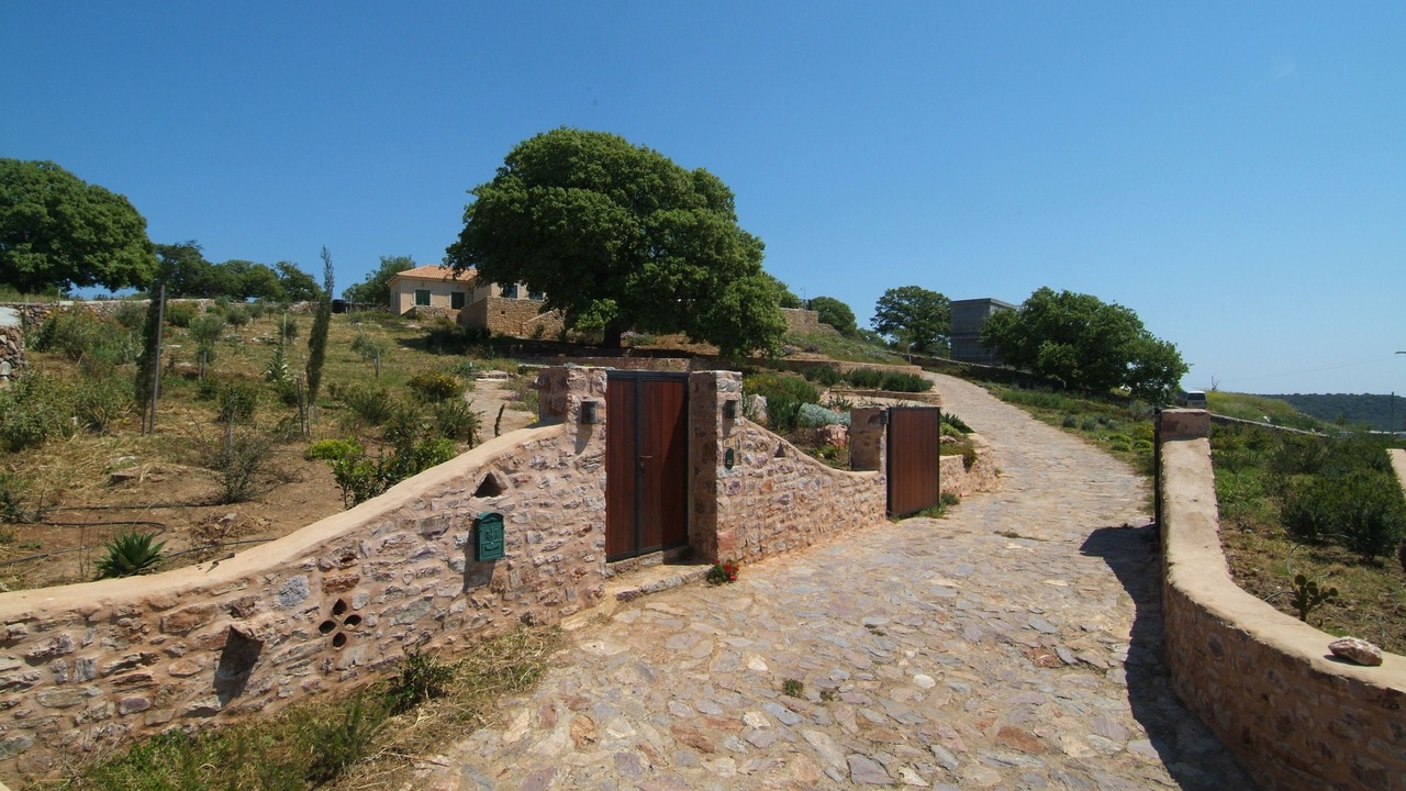 Photo of Others in East Mani
