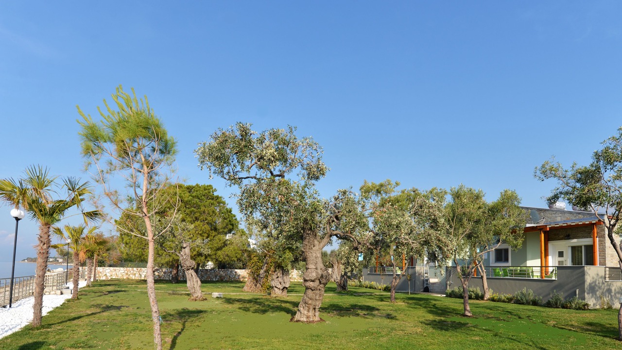 Photo of Outdoor in Prinos
