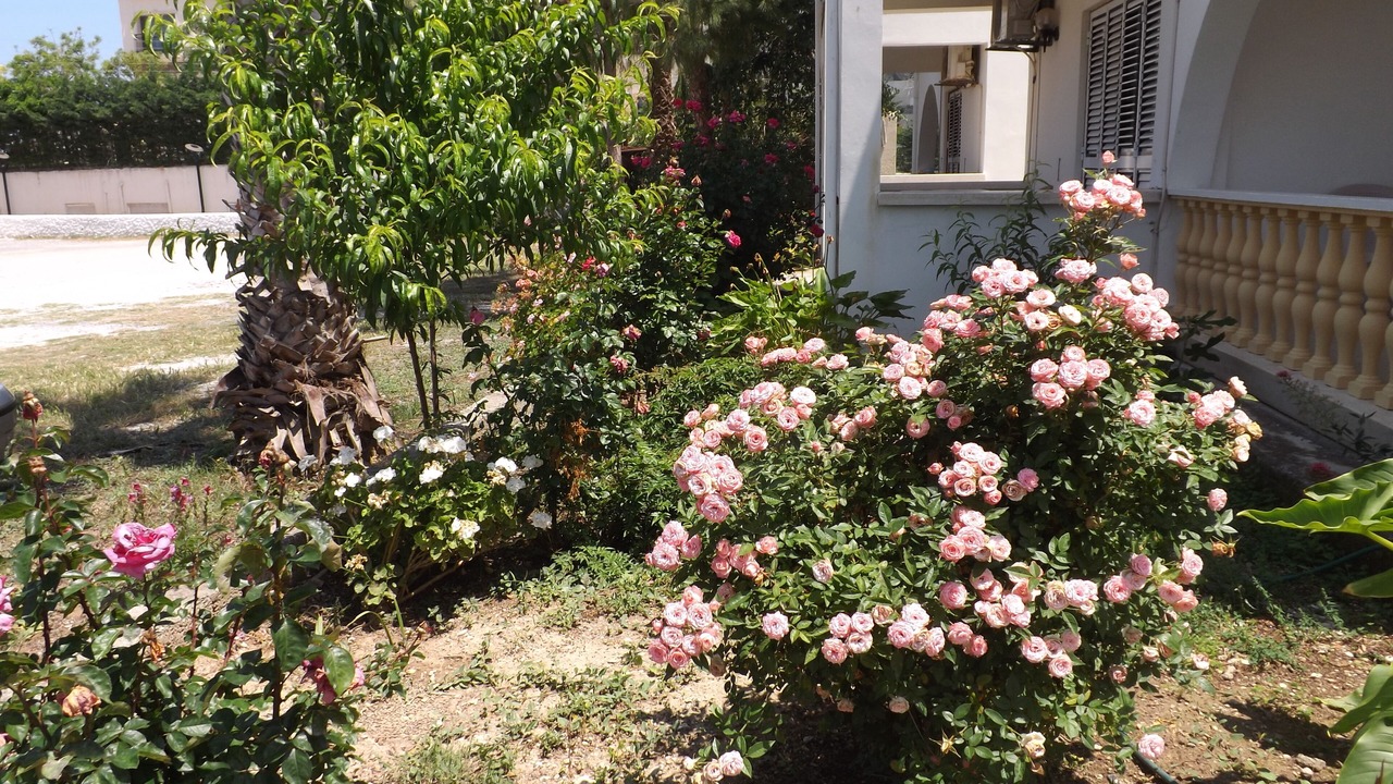 Photo of Outdoor in Kyrenia