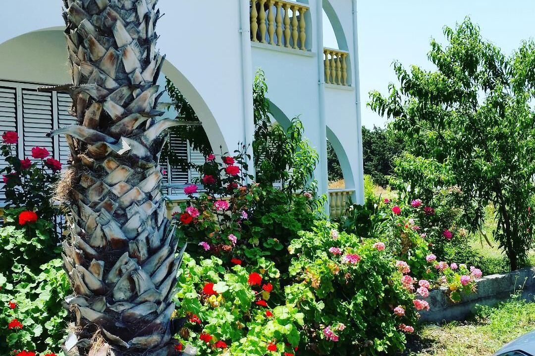 Photo of Outdoor in Kyrenia